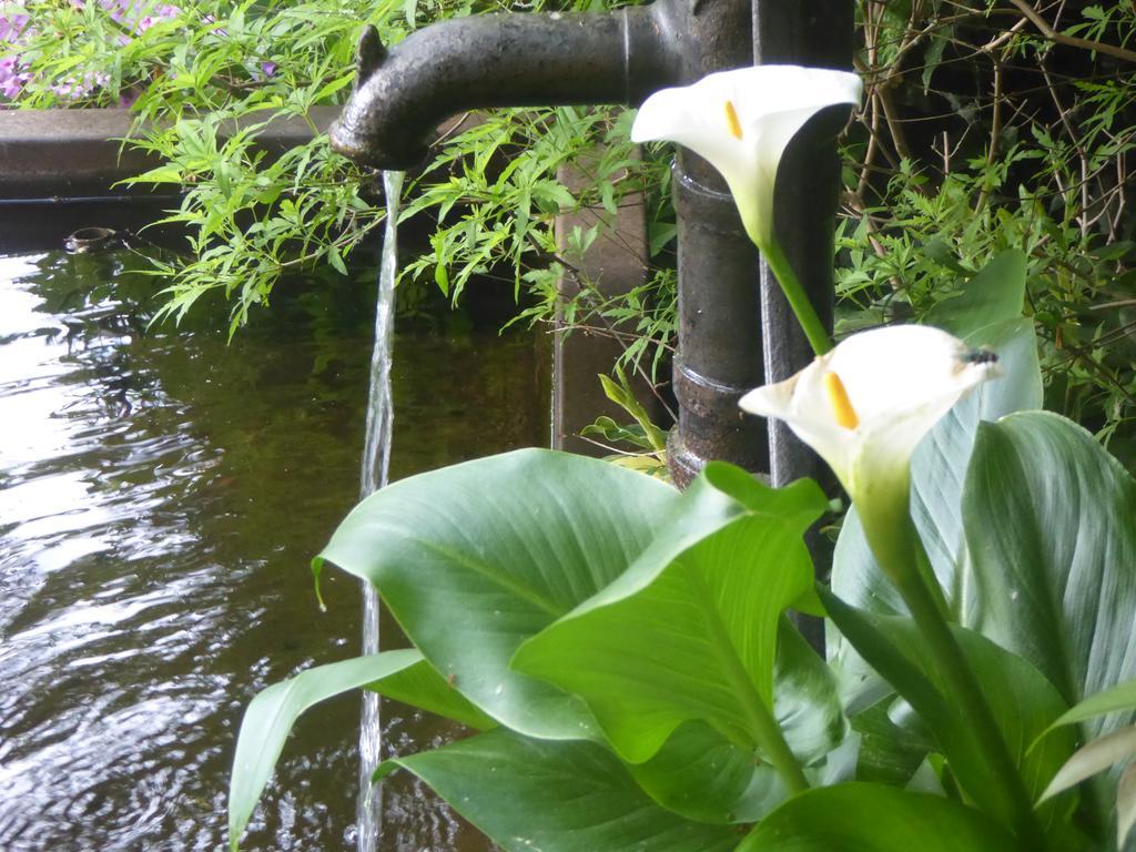 Vila La Casa Del Giardiniere Zero Branco Exteriér fotografie